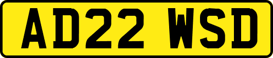AD22WSD