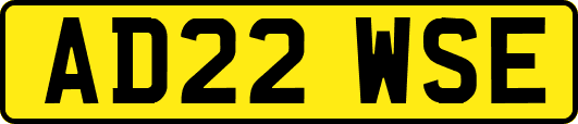 AD22WSE