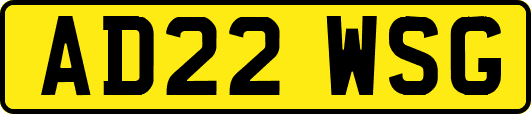 AD22WSG
