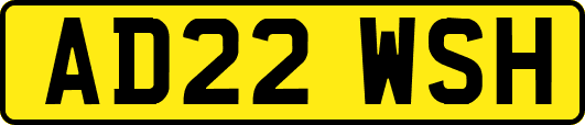 AD22WSH