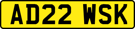 AD22WSK
