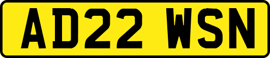 AD22WSN