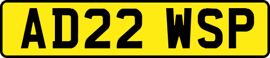 AD22WSP