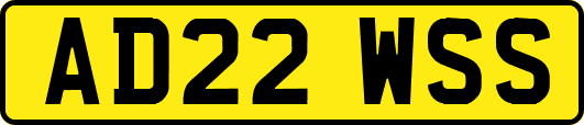 AD22WSS