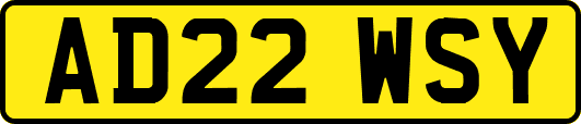AD22WSY
