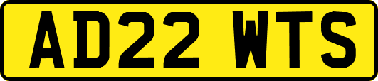 AD22WTS