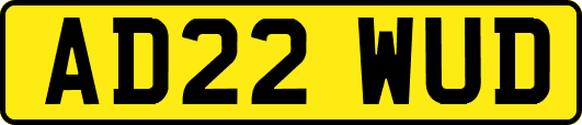 AD22WUD