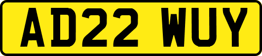 AD22WUY