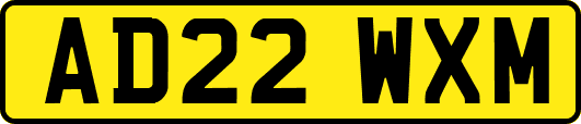 AD22WXM