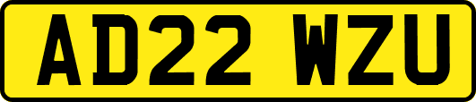 AD22WZU