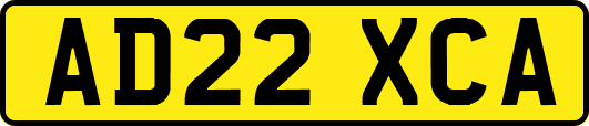 AD22XCA