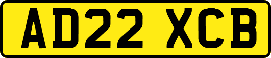 AD22XCB