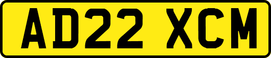 AD22XCM
