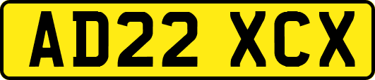 AD22XCX