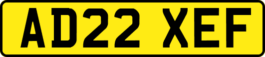 AD22XEF