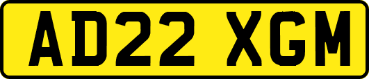 AD22XGM