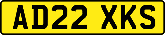 AD22XKS