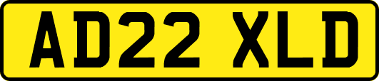 AD22XLD