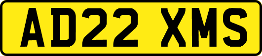 AD22XMS