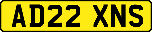 AD22XNS