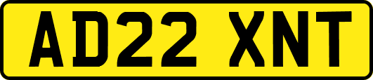 AD22XNT