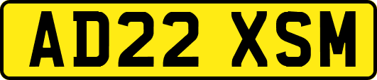 AD22XSM