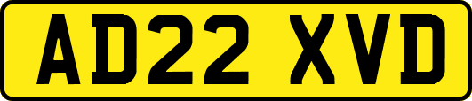 AD22XVD
