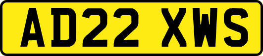 AD22XWS