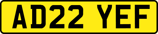 AD22YEF