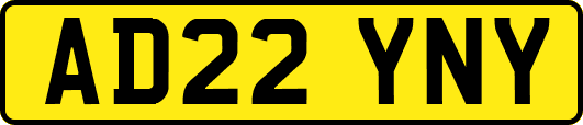 AD22YNY