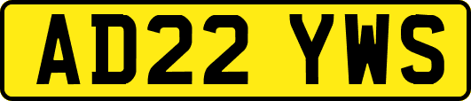 AD22YWS