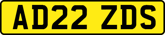 AD22ZDS