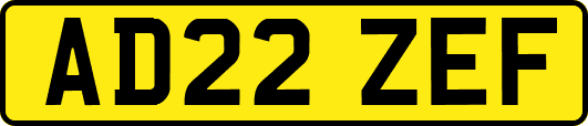 AD22ZEF