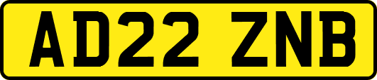 AD22ZNB