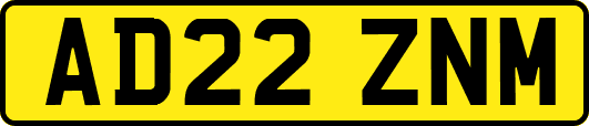 AD22ZNM
