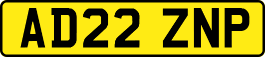 AD22ZNP