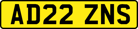 AD22ZNS