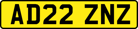 AD22ZNZ