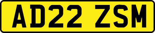 AD22ZSM