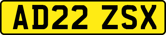 AD22ZSX