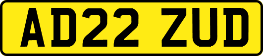 AD22ZUD