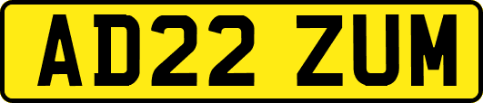 AD22ZUM