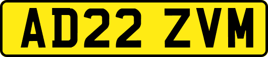 AD22ZVM