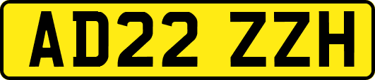 AD22ZZH