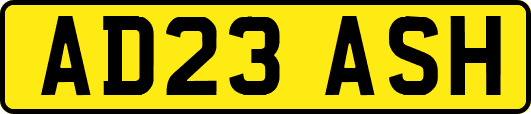 AD23ASH