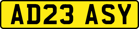 AD23ASY