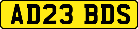 AD23BDS