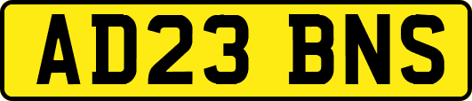 AD23BNS
