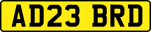 AD23BRD