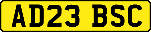 AD23BSC